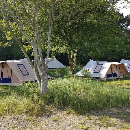 Ameland Tentenverhuur Atv Ballum Zewnętrze zdjęcie